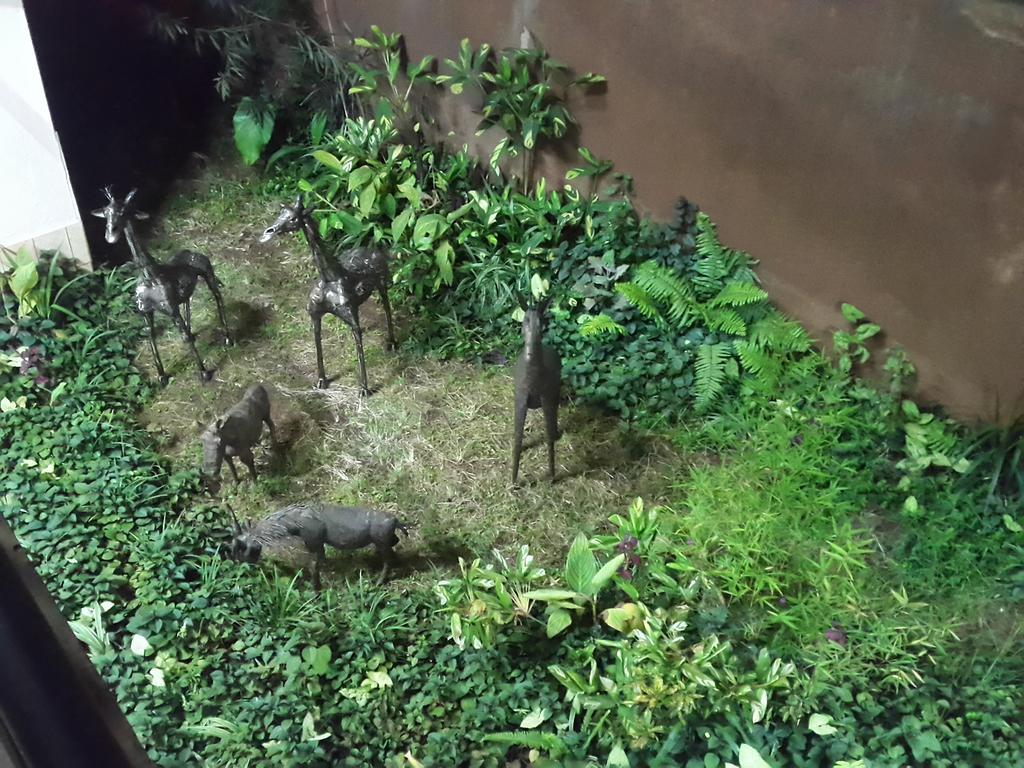 プログレッシブ パーク ホテル ナイロビ エクステリア 写真